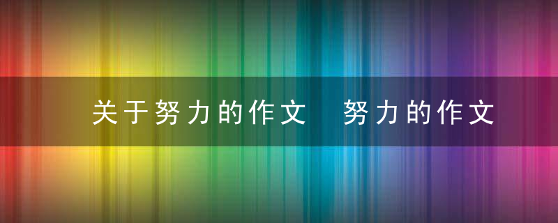 关于努力的作文 努力的作文可以写什么内容